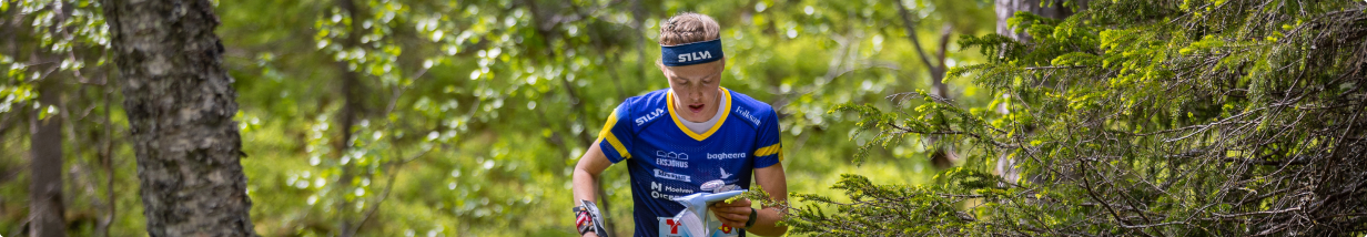 Tove Alexandersson Tove Alexandersson